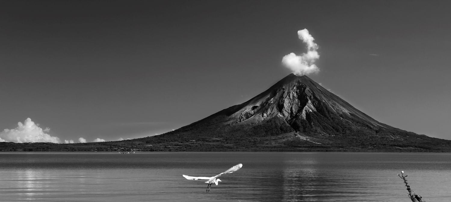 Volcán Concepción rising over Lake Nicaragua at Ometepe, with an egret in flight